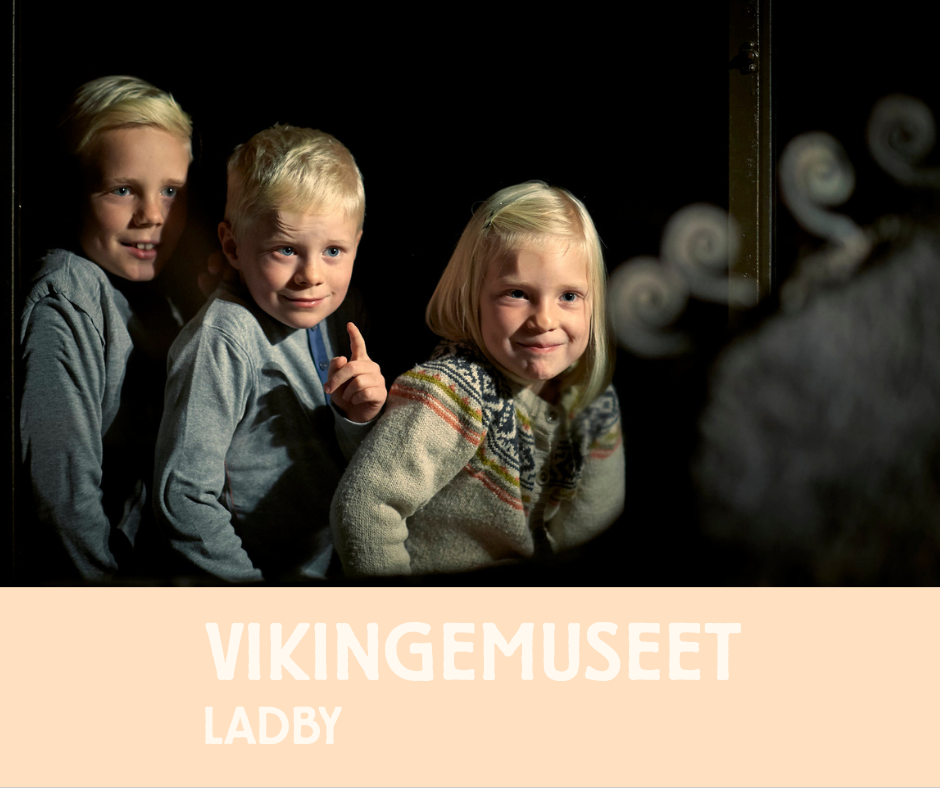 Vikingekongen fra Ladby skoler
