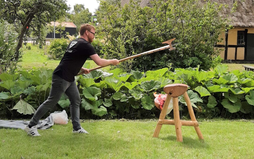 Borglege hitter blandt institutioner