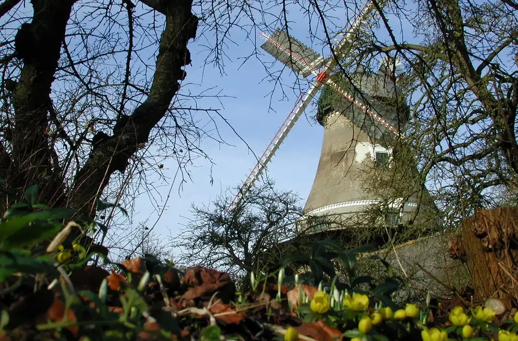 Vinterferie på Dyrehave Mølle