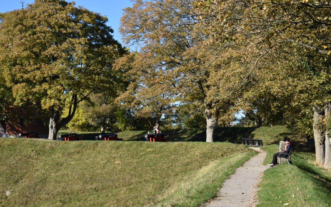 Volden rundt