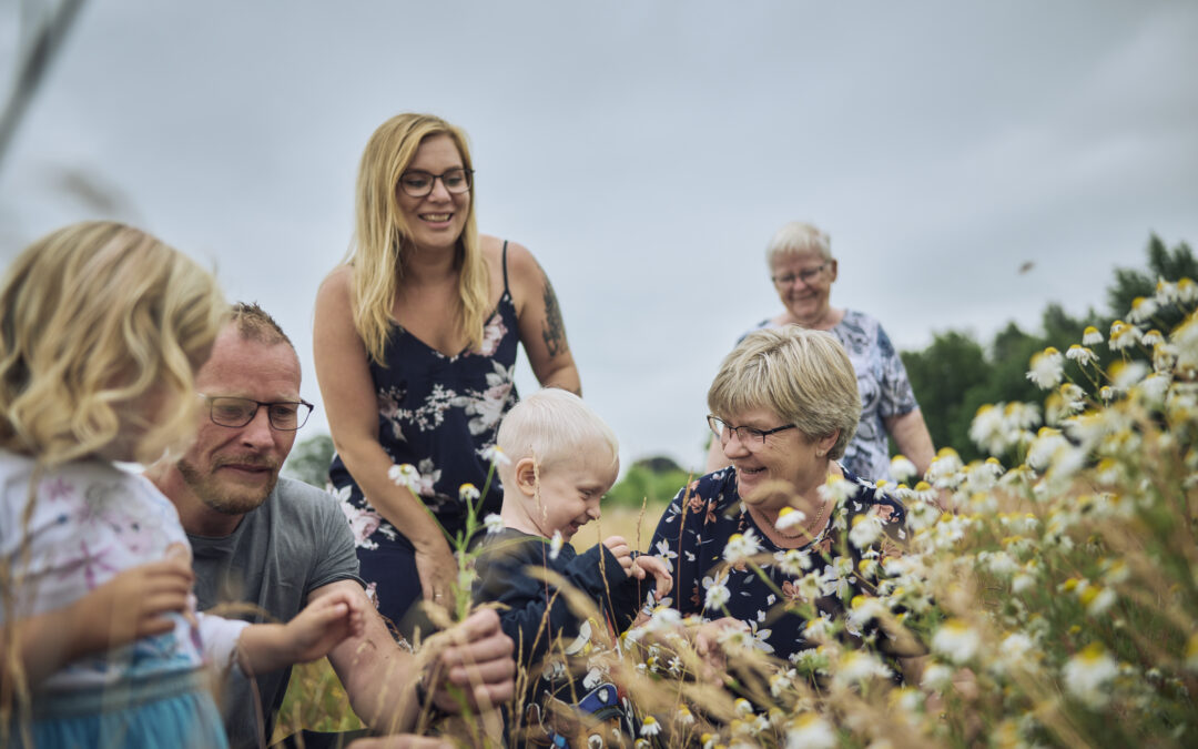 Vikingetidens Landskab bliver levende takket være millionbeløb                      