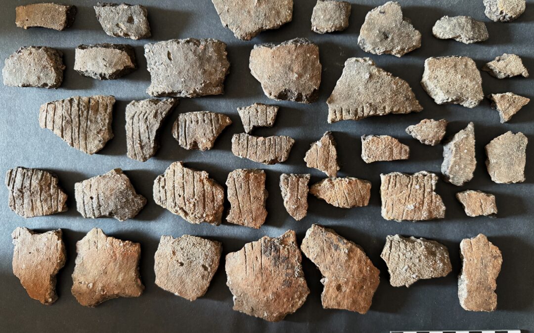 Med ét blev historien i Revninge 5.000 år ældre