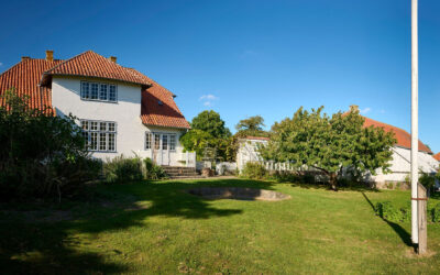 Fuglemalerens museum fylder 40